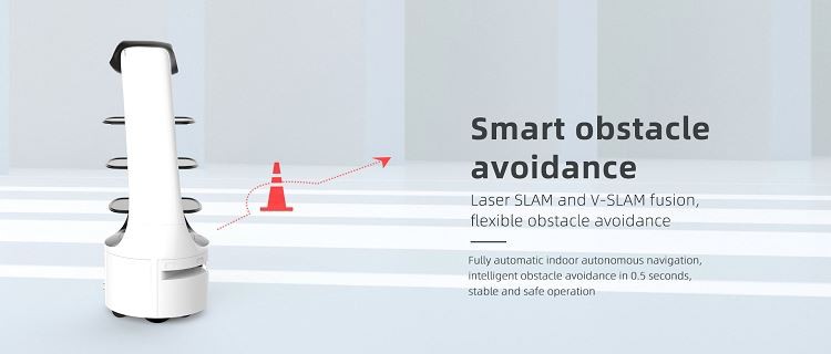 Avoid obstacles